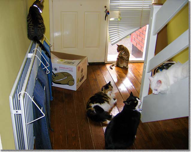 玄関ホール任務